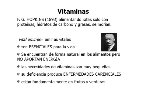 VITAMINAS-Elvira-Modo-de-compatibilidad.pdf