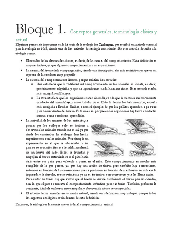 ETOLOGIA-APUNTES.pdf