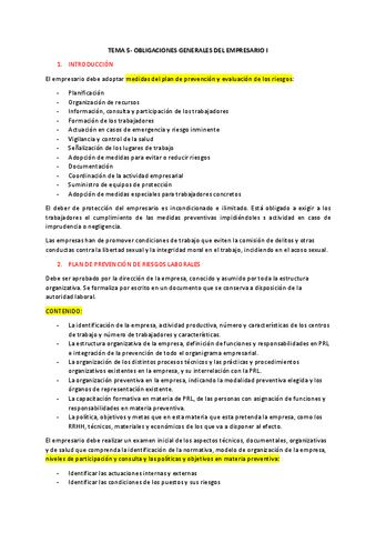 resumen-t5-salud-laboral-y-prevencion-de-rl.pdf