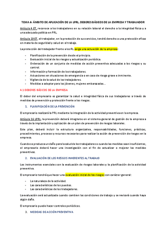 resumen-t4-salud-laboral-y-prl.pdf