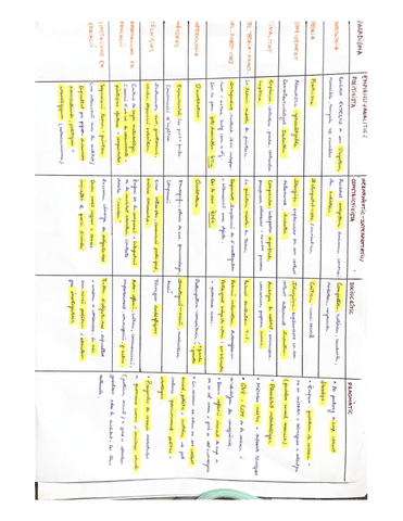 Investigar-examen-1.pdf