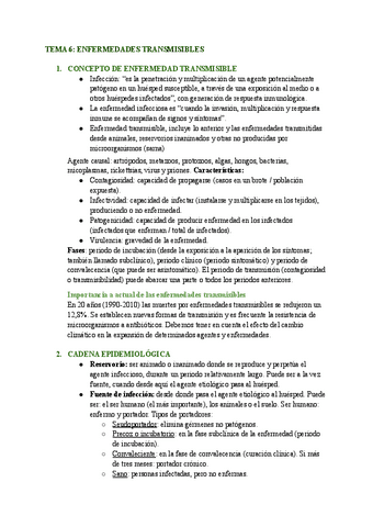 TEMA-6.pdf