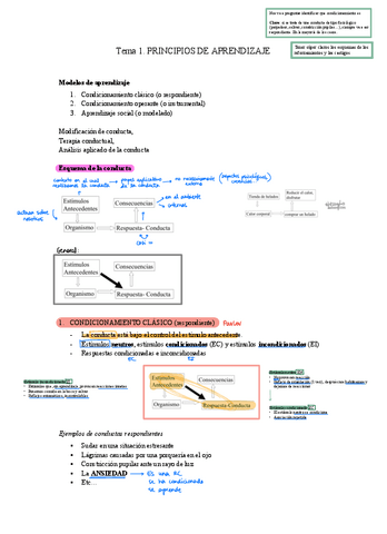 T1-Principios-de-aprendizaje.pdf