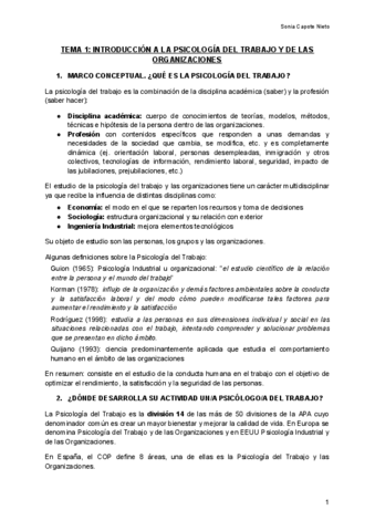 TEMA-1-INTRODUCCION-A-LA-PSICOLOGIA-DEL-TRABAJO-Y-DE-LAS-ORGANIZACIONES-Documentos-de-Google.pdf