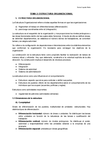 TEMA-2-ESTRUCTURA-ORGANIZACIONAL-Documentos-de-Google.pdf