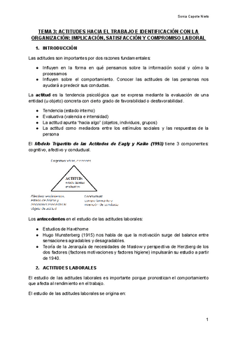 TEMA-3-ACTITUDES-HACIA-EL-TRABAJO-E-IDENTIFICACION-CON-LA-ORGANIZACION-IMPLICACION-SATISFACCION-Y-COMPROMISO-LABORAL.pdf