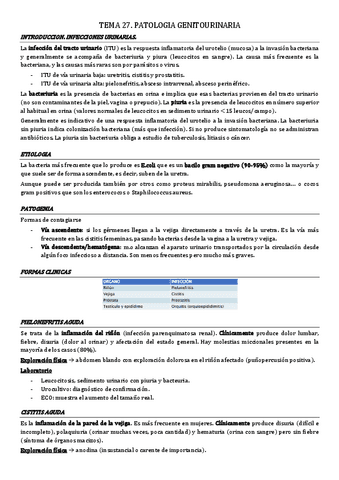 tema-27.-patologia-genitourinaria.pdf