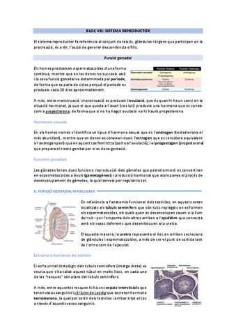 sistema reproductor.pdf