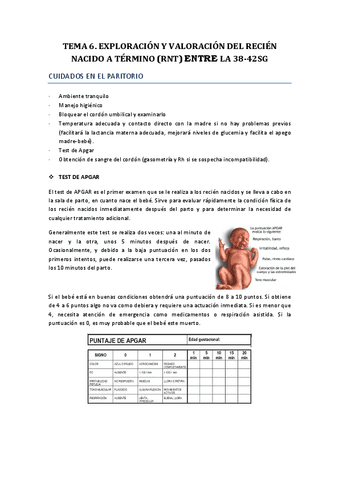 Tema-6.-Exploracioni-y-Valoracion-del-Recien-Nacido-a-Termino.pdf