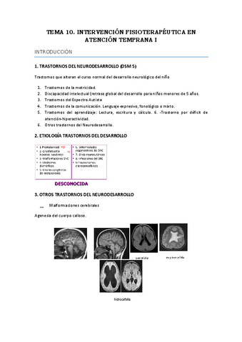 Tema-10.-Intervencion-Fisioterapeutica-I.pdf