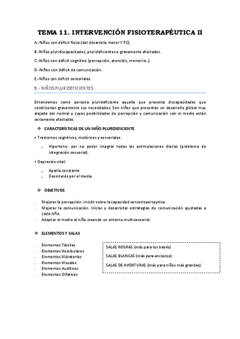 Tema-11.-Intervencion-Fisioterapeutica-II.pdf