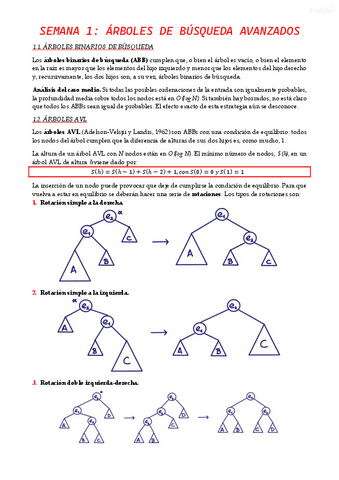 Semana-1-Arboles-de-busqueda-avanzados.pdf