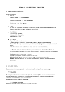 T2PerspectivasTeóricas.pdf