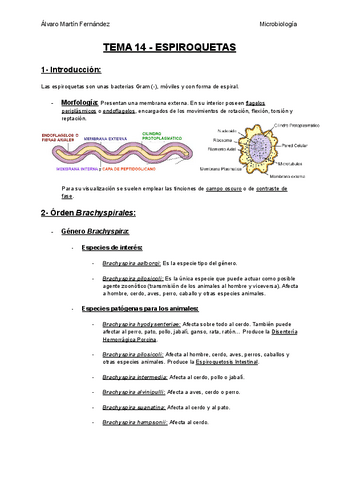 TEMA-14-ESPIROQUETAS.pdf