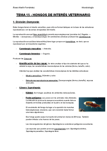 TEMA-15-HONGOS-DE-INTERES-VETERINARIO.pdf