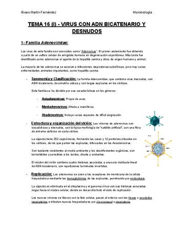 TEMA-16-I-VIRUS-CON-ADN-BICATENARIO-Y-DESNUDOS.pdf