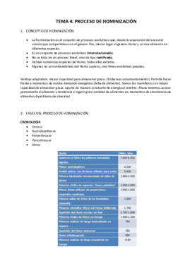 TEMA 3 Hominizacion COMPLETO.pdf