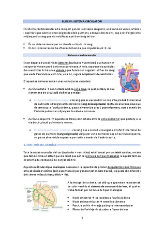 fisiologia 2n parcial complet.pdf