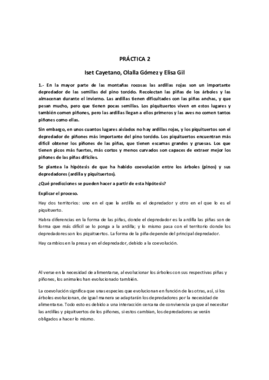 PRÁCTICA 2.pdf