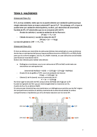 TEMA-5-HALOGENOS.pdf