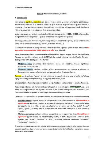 Tema-3-Psicolinguistica.pdf