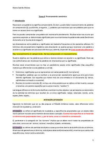 Tema-4-Psicolinguistica.pdf