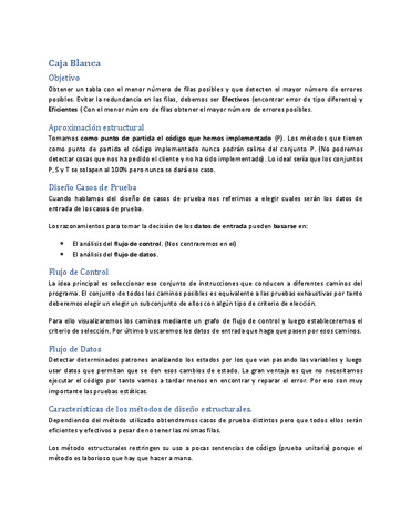 2.Resumen-Caja-Blanca.pdf