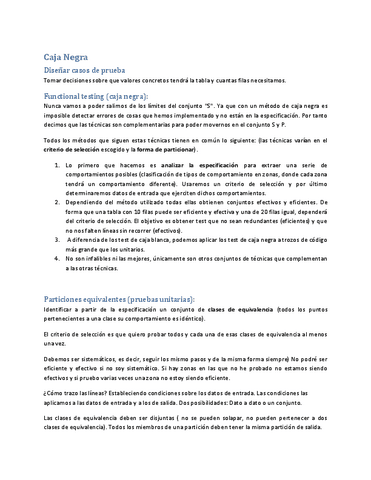 4.Resumen-Caja-Negra.pdf