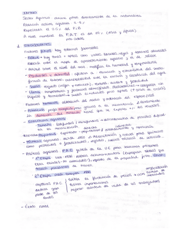 Tema-6-Sector-primario.pdf