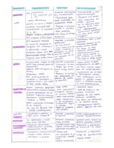 Tabla-transportes.pdf