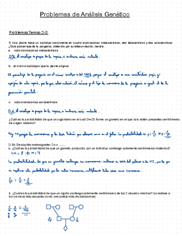 Problemas-de-ANGE.pdf