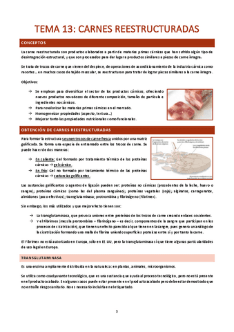TCP-T13.pdf