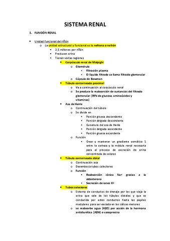 Sistema-renal.pdf