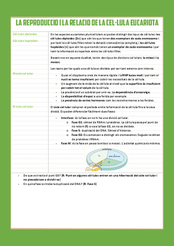 La-reproduccio-i-la-relacio-de-la-cellula-eucariota.pdf