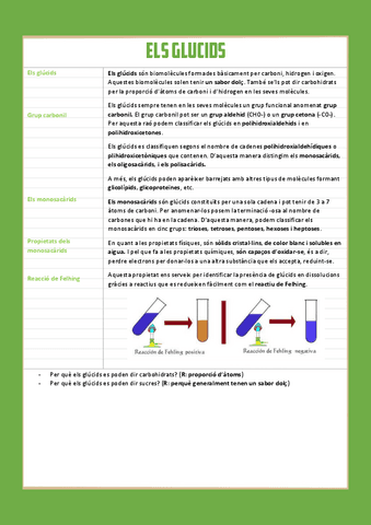 els-glucids-1r-batx.pdf