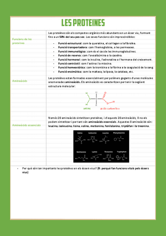 Les-proteines-1r-batx.pdf