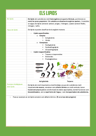 els-lipids-1r-batx.pdf