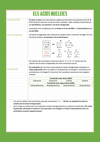 acids-nucleics-1r-batx.pdf