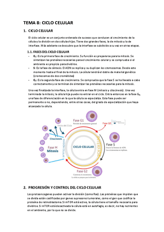 Apuntes-T8-ciclo-celular.pdf