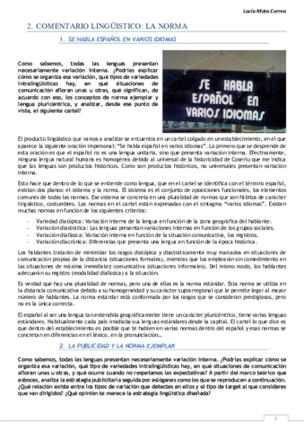 COMENTARIOS NORMA LINGÜÍSTICA.pdf