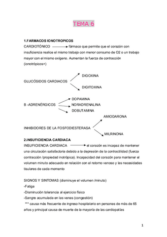 TEMA-6.pdf