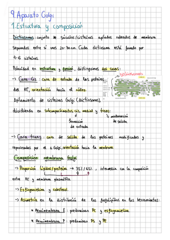 9.-Aparato-de-Golgi.pdf