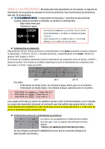 TEMA-4-LAS-PROTEINAS.pdf