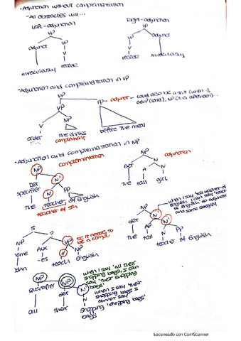 Apuntes-estructura-10.pdf