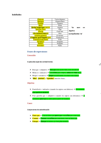 Indefinidos.pdf