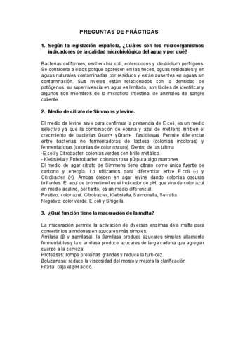 Preguntas-de-practicas.pdf