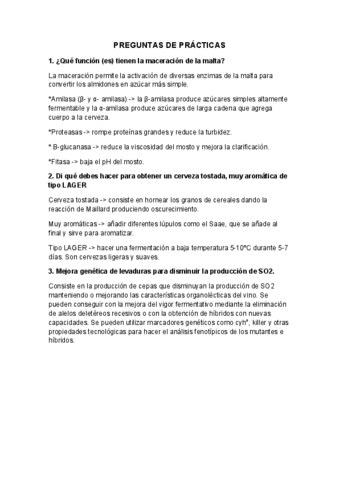 Mas-preguntas-de-practicas.pdf