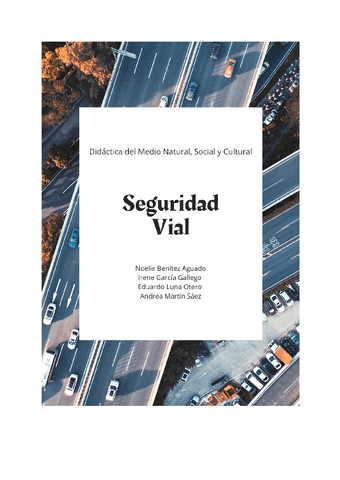 TRABAJO-MONOGRAFICO-SEGURIDAD-VIAL.pdf