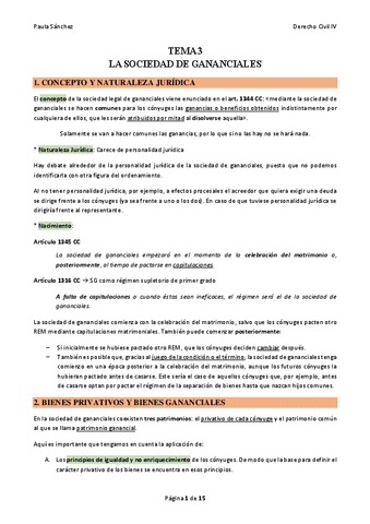 TEMA-3-Civil-IV.pdf