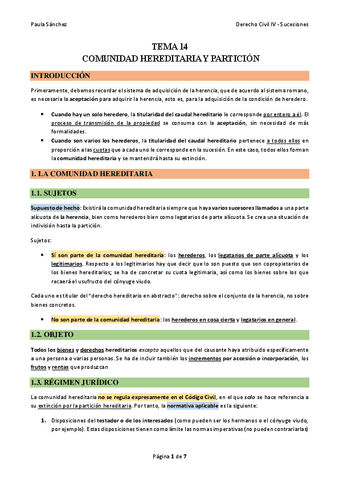 TEMA-14-Civil-IV.pdf